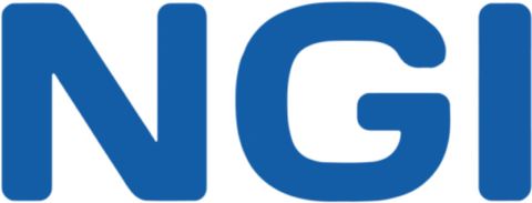 Logo PT. Naleya