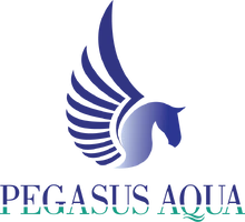Logo Pegasus Aqua